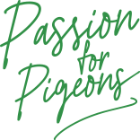 Passion for pigeons